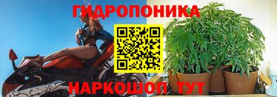 молекула духа Отрадное