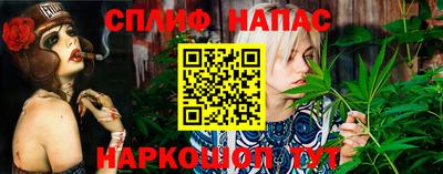 молекула духа Отрадное