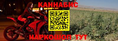 молекула духа Отрадное