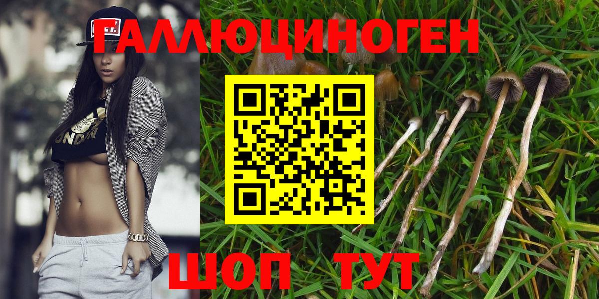 Псилоцибиновые грибы мицелий Ростов-на-Дону