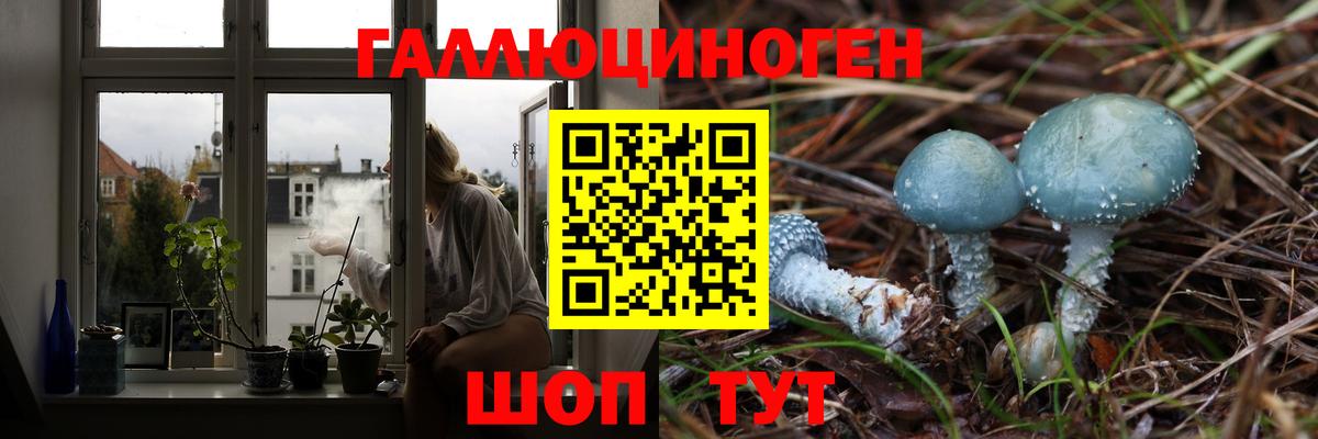 Псилоцибиновые грибы Magic Shrooms  сколько стоит  Ростов-на-Дону 